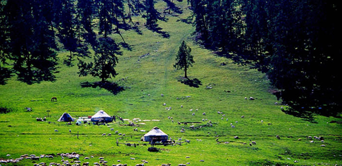 ��(l��i)�Ͳ���ِ���������R�ˡ�