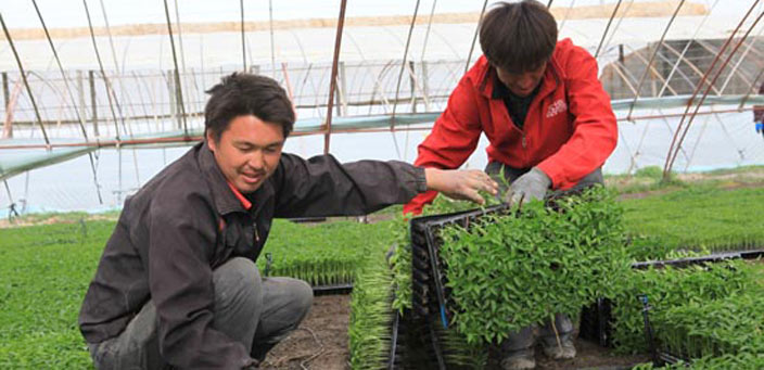 ����4.7�f(w��n)�������M(j��n)��������