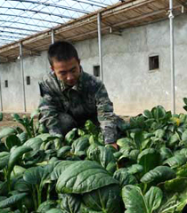 ӛ���߻��ӣ�������ɽ��ľ�����L߅���l(w��i)ʿ(��)