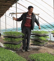 ����4.7�f�������M��������