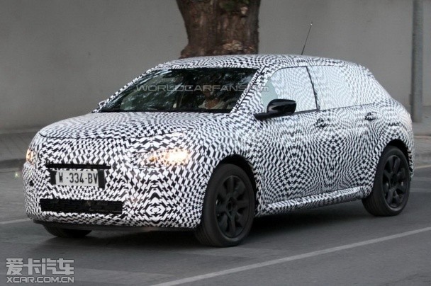 ѩ�F��C4 Cactus