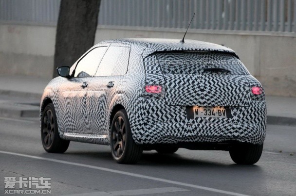 ѩ�F��C4 Cactus