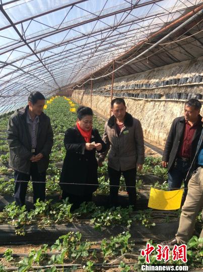 �Ї����������������g(sh��)׌��(n��i)�ɹ�ͬ�������Gɫϣ��