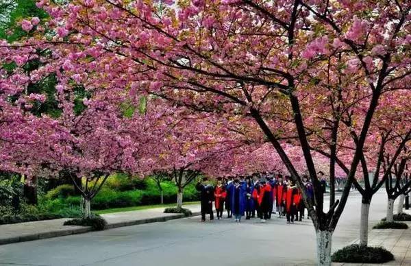 ���\�C����ӭ�����¡�������ʲô�ɫ����