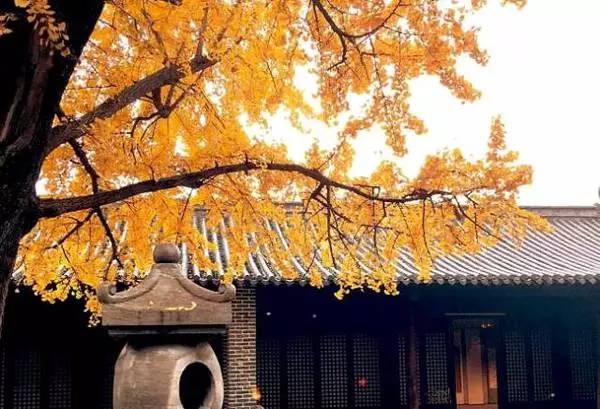 ���\�C����ӭ�����¡�������ʲô�ɫ����