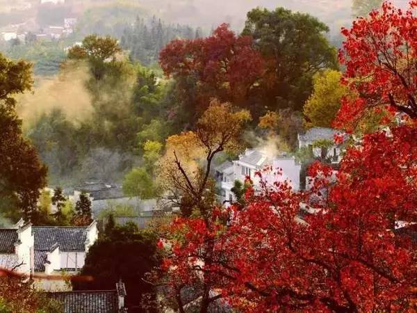 ���\�C����ӭ�����¡�������ʲô�ɫ����