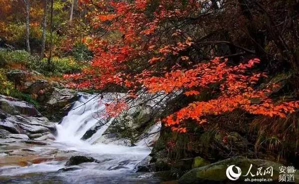 ���\�C����ӭ�����¡�������ʲô�ɫ����