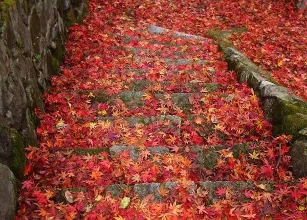 ���\�C����ӭ�����¡�������ʲô�ɫ����