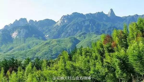 ���\�C����ӭ�����¡�������ʲô�ɫ����