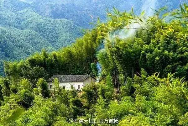 ���\�C����ӭ�����¡�������ʲô�ɫ����