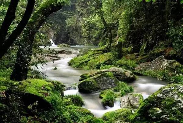 ���\�C����ӭ�����¡�������ʲô�ɫ����