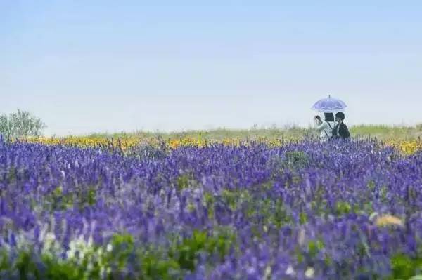 ���\�C����ӭ�����¡�������ʲô�ɫ�ģ�