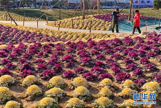 ���h(hu��n)������1�������������p���{(l��n)