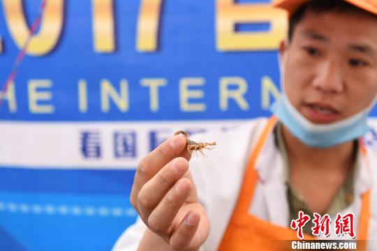 �D��̩�����x���ϰ�����������x�������G�� �z