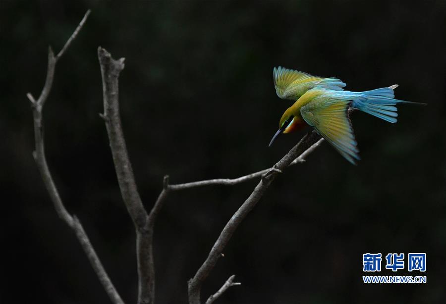 �������Ї�(gu��)����1�������仢�B�T(m��n)�����ҡ�