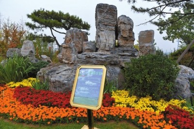 2020�걱���딵(sh��)���ߌ����B(t��i)�����z�w̎��o(w��)����