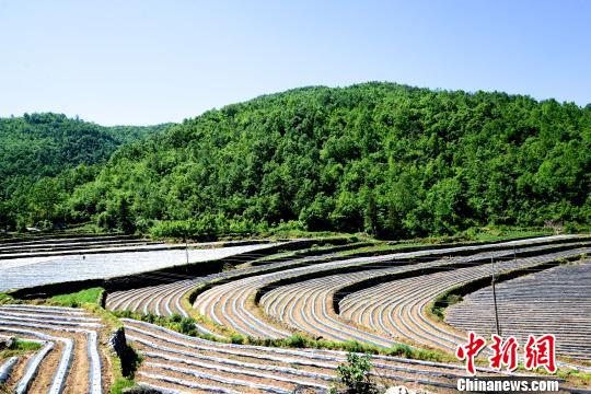 �v����ӛ���a(ch��n)�I(y��)���¡���ؚ�a(ch��n)�I(y��)�l(f��)չ�ġ�����(zh��n)����(w��)��(j��ng)��