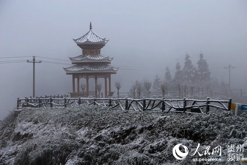 �D��������w�ě�ͤ��