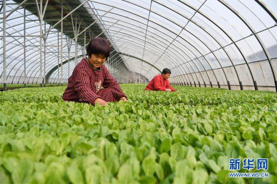 ����(j��ng)������2���ӱ���¹��æ���� ������