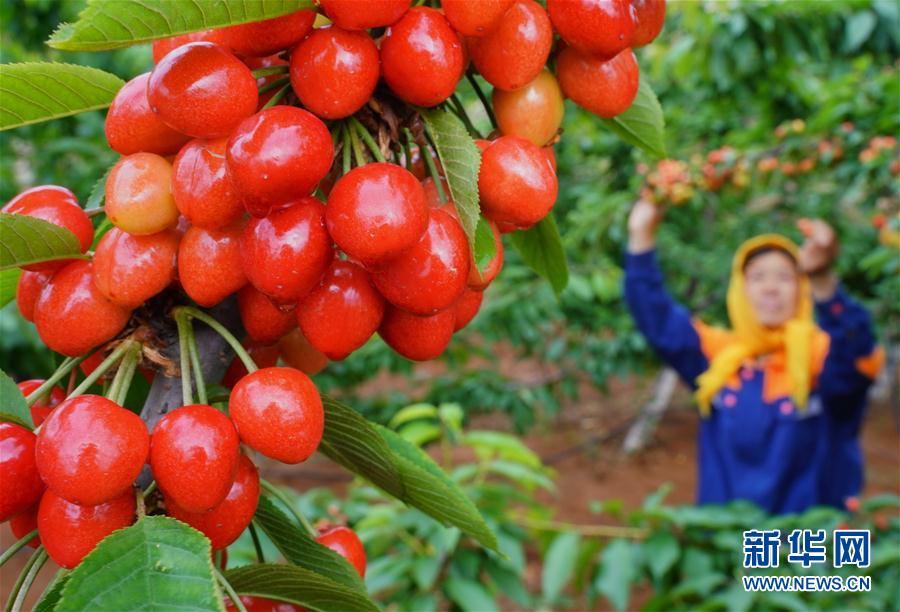 ����(j��ng)��(j��)����1���ӱ����ݣ��������͸���r(n��ng)��