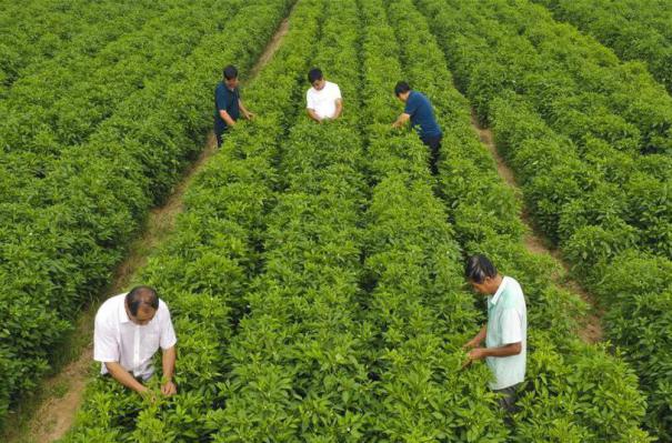 ����(j��ng)��(j��)����3���ӱ���ˮ��С�����_(k��i)���¸���·��