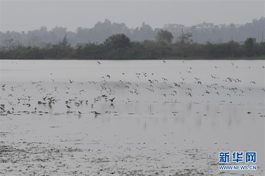 ���h(hu��n)������1���|կ��ӭ��Խ�����B�w��С�߷�