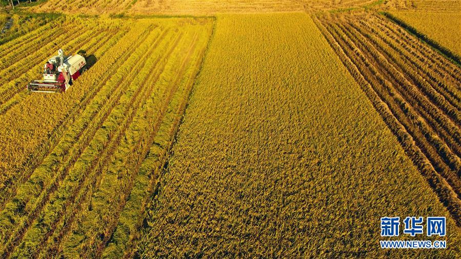 #����(j��ng)��(j��)����2�������r(n��ng)æ