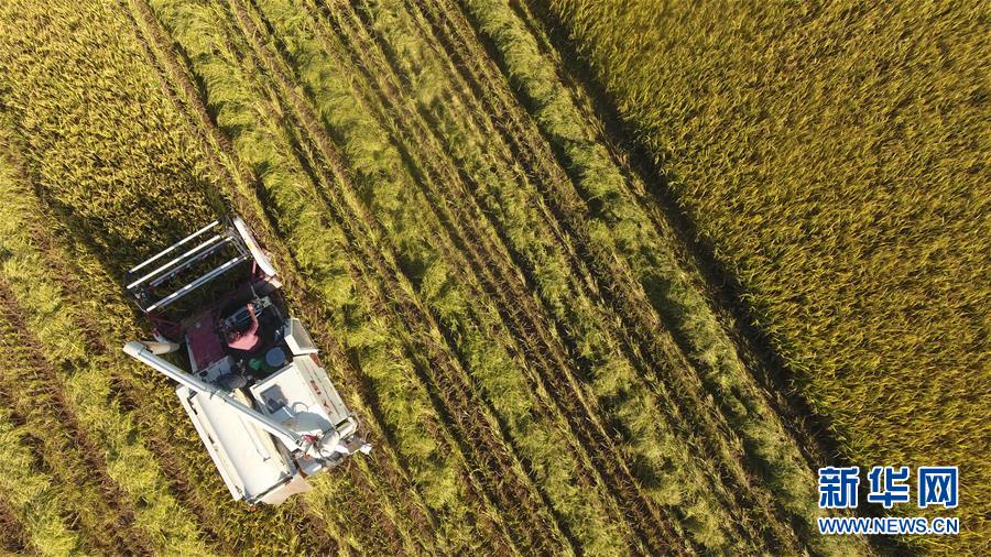 #����(j��ng)��(j��)����3�������r(n��ng)æ