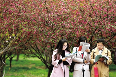 �ο�̫���У�o����܇���� ���M�������������?