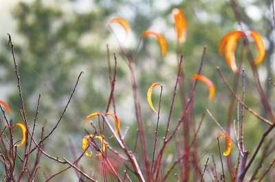 �������� 11�c(di��n) 58�ִ��������ĵ؁�(l��i)��