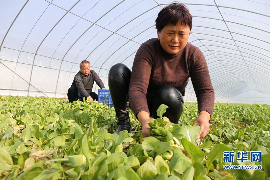 �������(qu��n):����Óؚ����(ji��n)��ģʽ