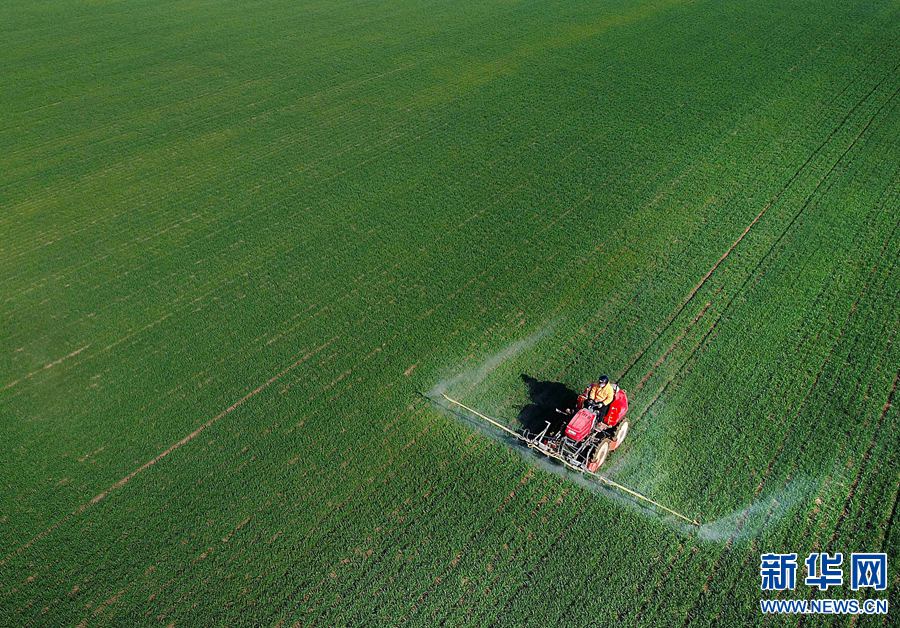 ���L���G�r(n��ng)��æ