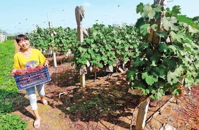 ���ϡ��w�㽛(j��ng)��(j��)���˄�(d��ng)Óؚ����(ji��n)