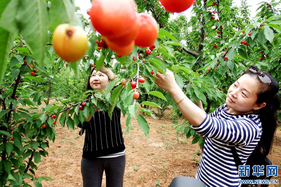 �����°�����(j��ng)��(j��)������Үa(ch��n)�I(y��)