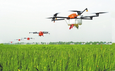 ���ƵZ�^�M(j��n)�����꡿����Ҫ�أ���ֲ�r(n��ng)��l(f��)չ��(y��u)��(sh��)