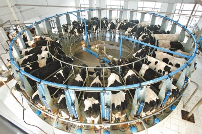 ���ϡ���ţ��զ��ţ����(l��i)