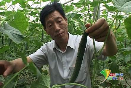 ������쿴�S���L(zh��ng)��(sh��)_����