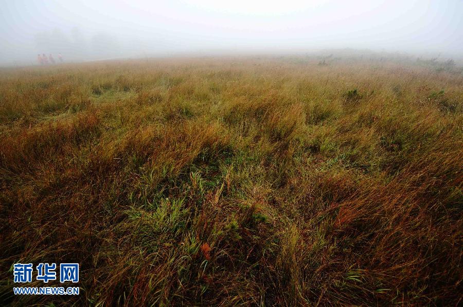 (�����Ї�(gu��))(3)���F���@�P��ɽ