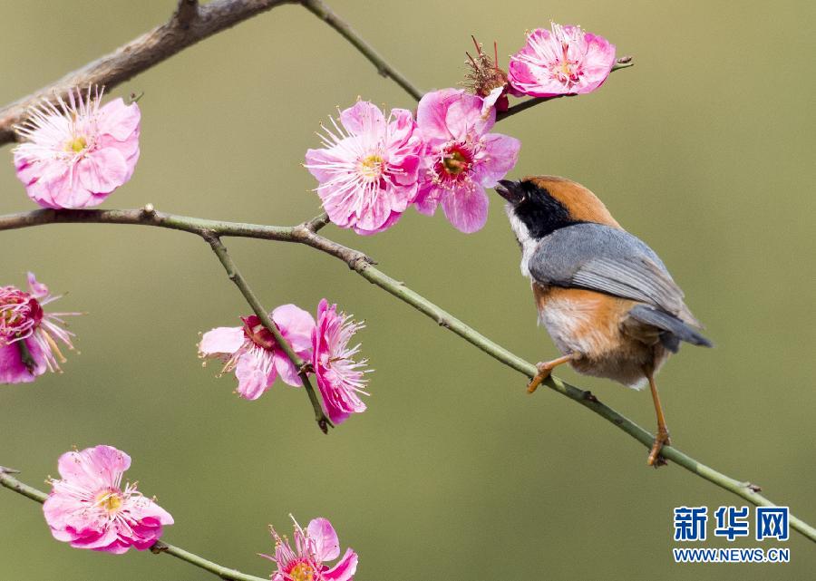 #�����ϲ�ϡ�÷����