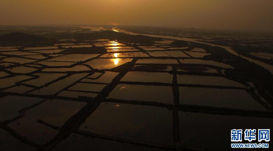 (���A�W)(3)�r����ɫ