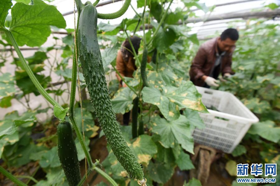 (���(b��o))(2)���ϻ��h:���I(y��)���������r(n��ng)�N�˟o(w��)�n