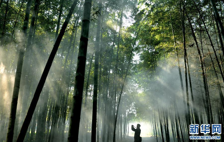 (�����Ї�)(6)ǧ��ſh���� ɽ��ˮ�����