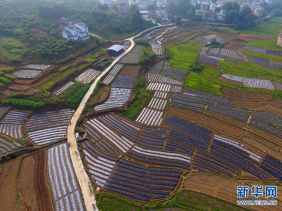 #(�r(n��ng)�I(y��))(2)˪���r(sh��)��(ji��)��Næ