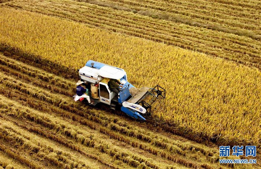 #(�r(n��ng)�I(y��))(2)������  ����ˮ��