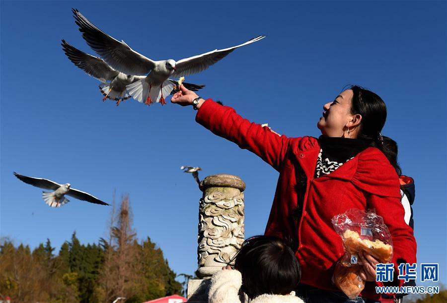 (���(b��o))(1)���ա����ǡ�������