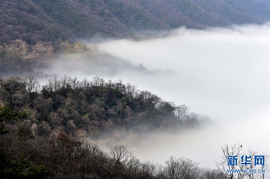 (�����Ї�)(4)���F�е����r(n��ng)��