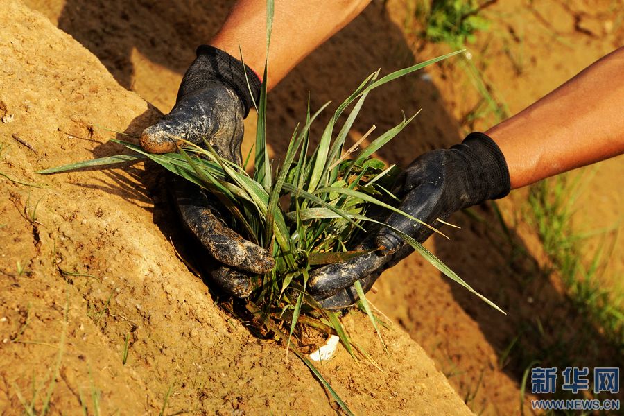 ���ϙ质:�U���Vɽ�����G�¡�