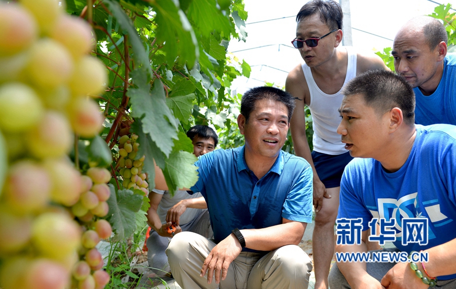 ��������:��������,�ο͘���