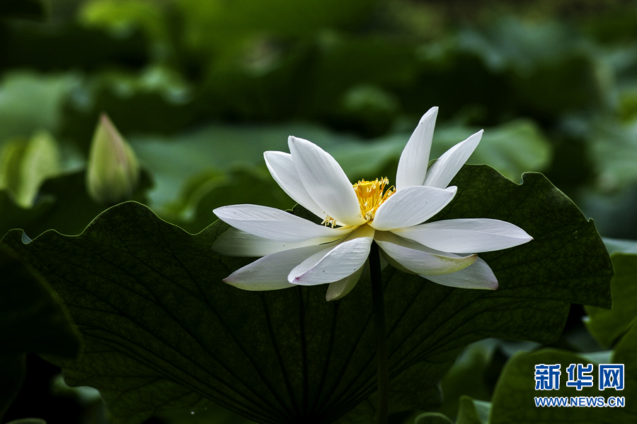 �����^�������r