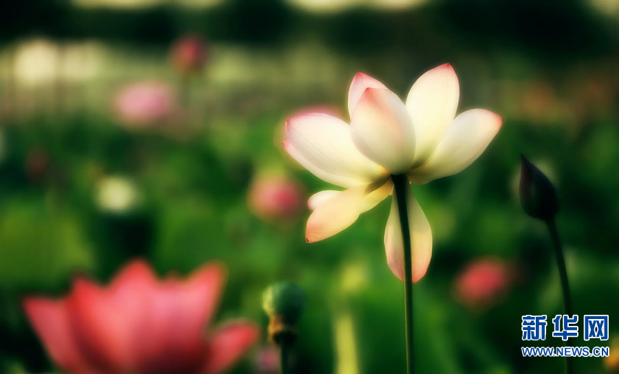 �����^�������r